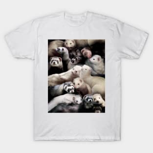 Ferrets T-Shirt